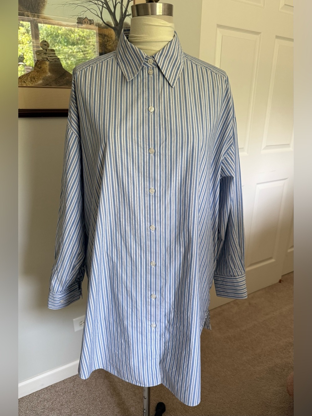 & Other Stories Blue Striped Shirt